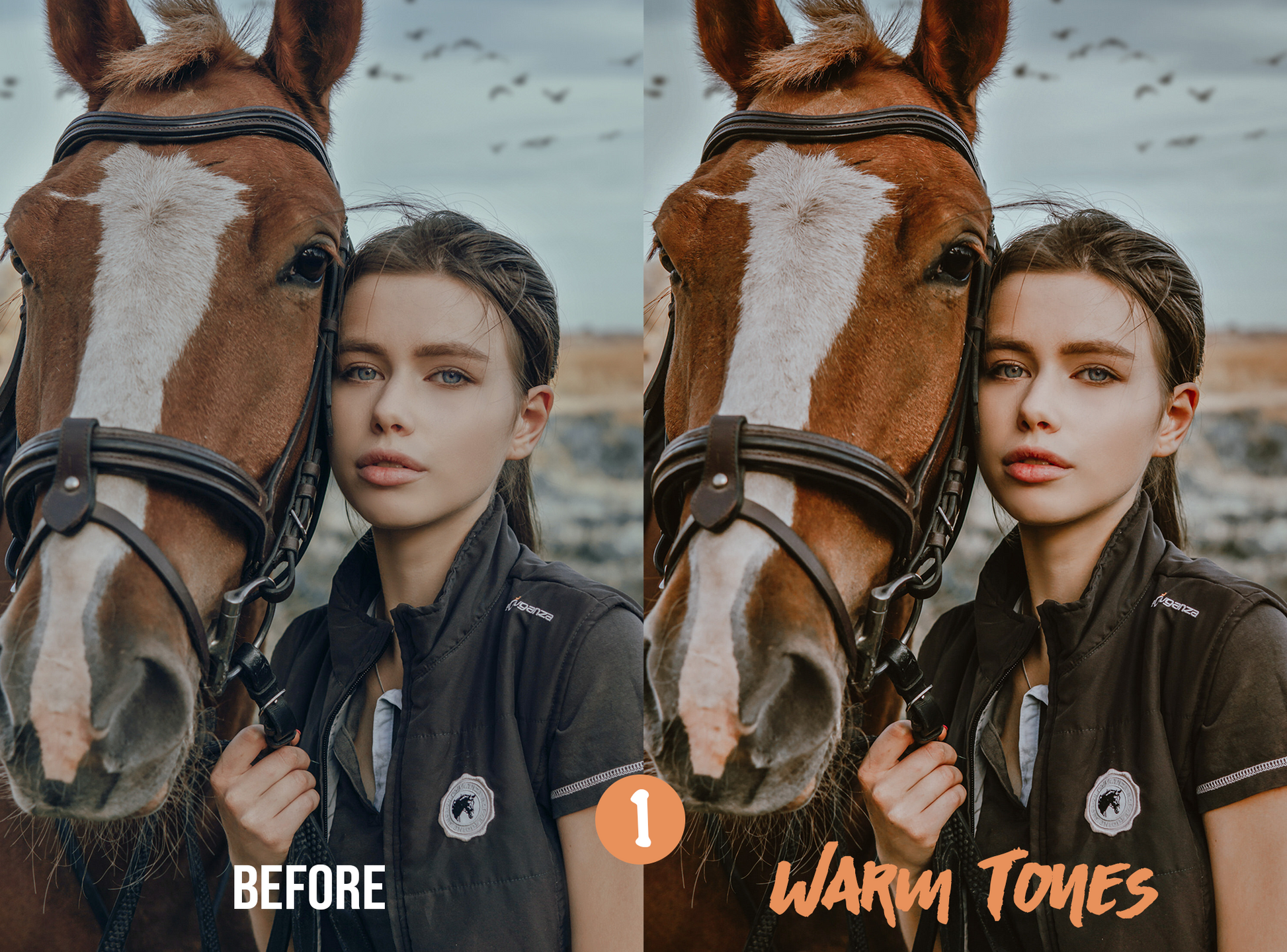 Horse Riding Lightroom Presets for Mobile & Desktop - Juicy Looks Presets