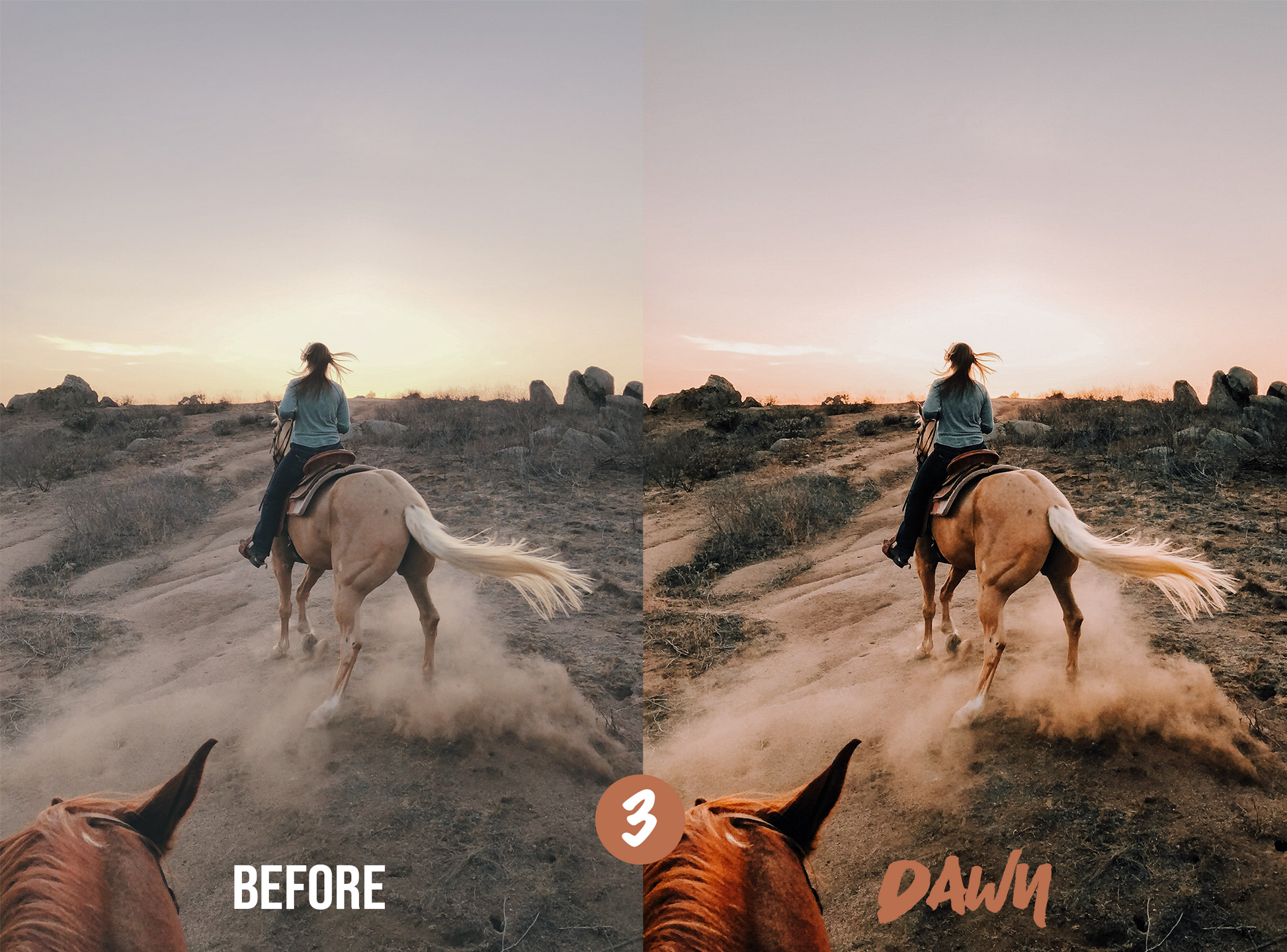 Horse Riding Lightroom Presets for Mobile & Desktop - Juicy Looks Presets