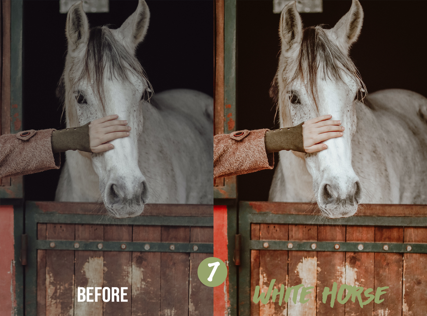 Horse Riding Lightroom Presets for Mobile & Desktop - Juicy Looks Presets