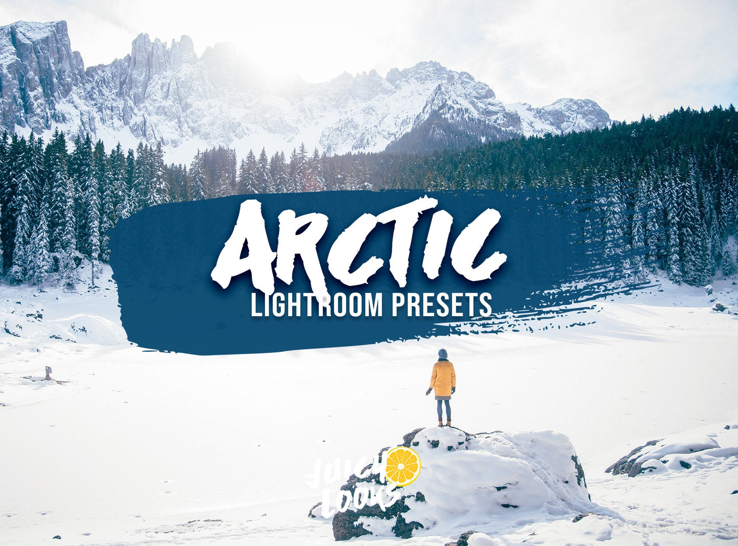 Arctic Lightroom for Mobile & Desktop - Juicy Looks Presets